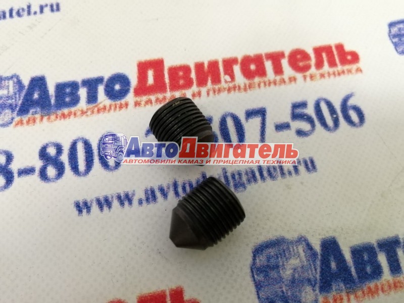 Штифт КПП 1315312047, М12х1 КАМАЗ, MAN, DAF, RENAULT, IVECO ZF